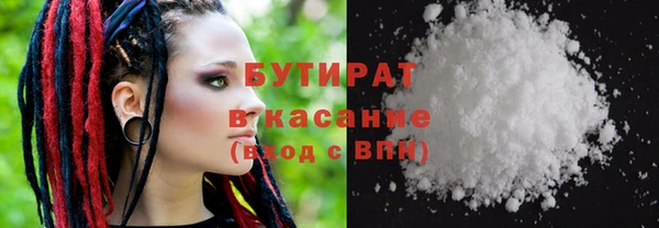 прущие грибы Михайлов
