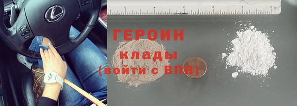 прущие грибы Михайлов