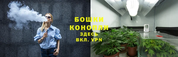 прущие грибы Михайлов