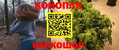 круглые Камышлов