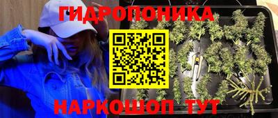 круглые Камышлов