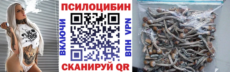 Псилоцибиновые грибы мицелий Москва