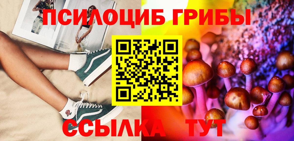 где продают   Галлюциногенные грибы GOLDEN TEACHER  Вход с VPN  Москва 